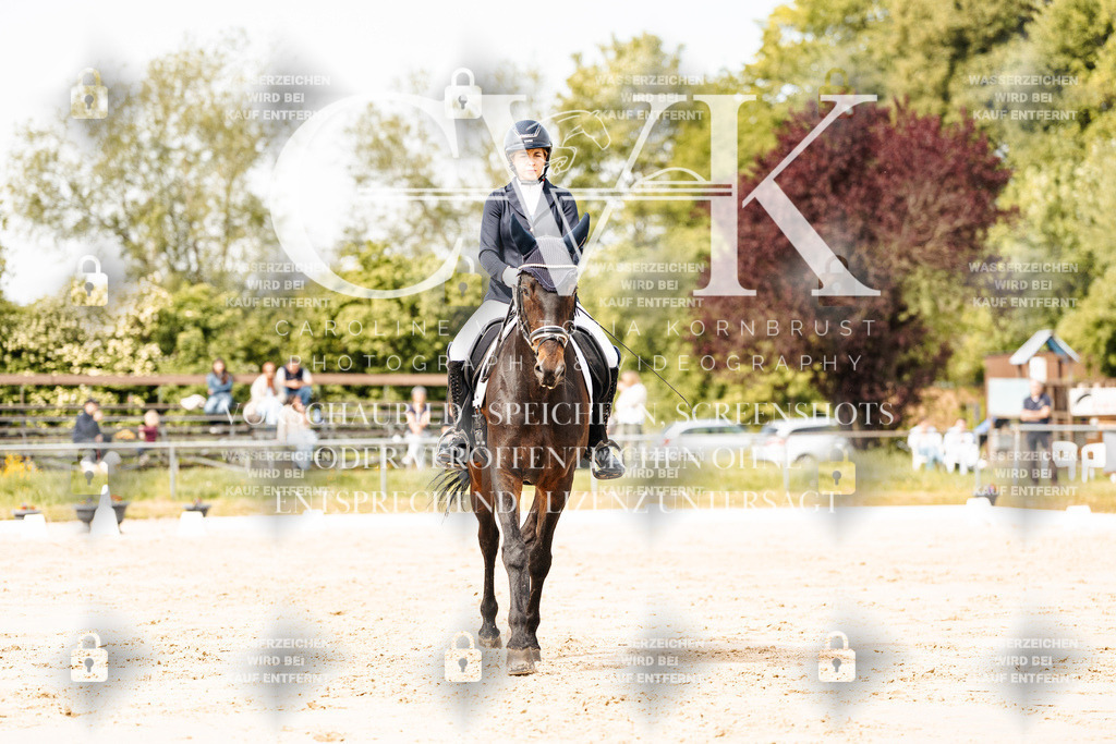 CK901153 | Turnierfotografie Pferdefotografie Trier Rheinland-Pfalz Pferdesport Reitsport Tierfotografie Sportfotografie Pferdevideo Pferdevideografie Equestrianvideography equestrianphotography  - Realisiert mit Pictrs.com