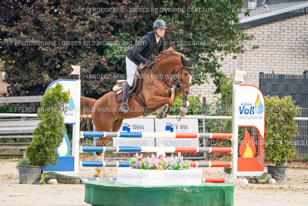 DSC08776 | Pferdegrafie