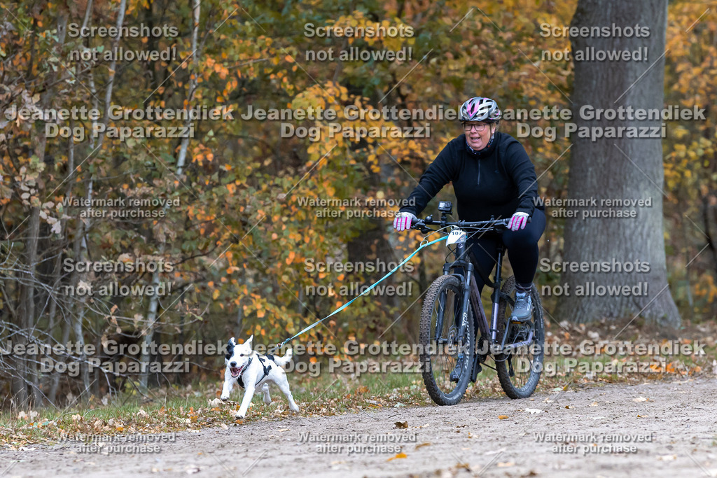 Dog Paparazzi - SD CaniX Championship 2025-601 | Dog Paparazzi Jeanette Grottendiek Fotografie & Videografie - Realisiert mit Pictrs.com