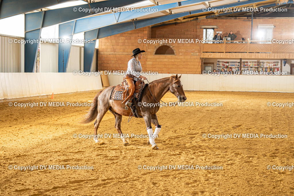 MIT00709 | dv-media-shop - Realisiert mit Pictrs.com