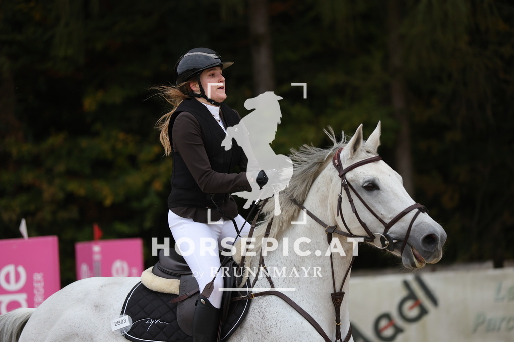 0P6A0445 | Willkommen bei Brunnmayr - Design & Fotografie – Ihrem Spezialisten für Reitturniere und Pferdeveranstaltungen in Oberösterreich, Salzburg und Bayern! Seit über 17 Jahren sind wir leidenschaftlich dabei.