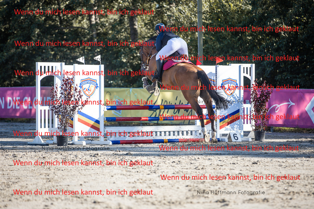 BK1A7677 | Turnierbilder Turnierfotos Nina Hüffmann Turnierfotografie Pferdefotografie Tierzeichnung Haustierzeichnung Pferdezeichnung Hundezeichnung Videograf  - Realisiert mit Pictrs.com