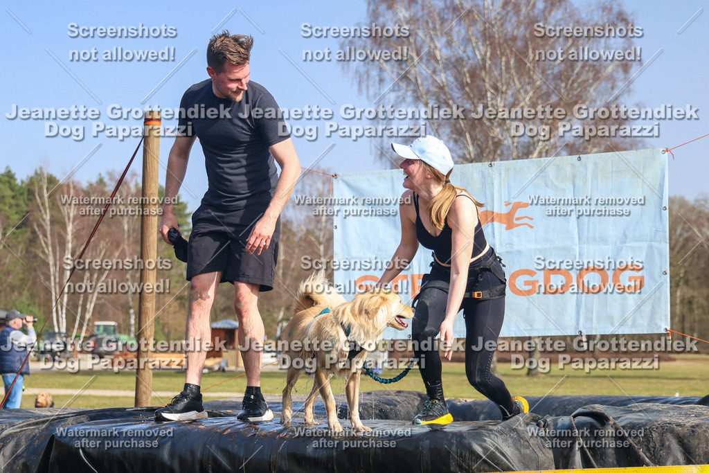 Dog Paparazzi - Strongdog North Mrz26-2906 | Dog Paparazzi Jeanette Grottendiek Fotografie & Videografie - Realisiert mit Pictrs.com