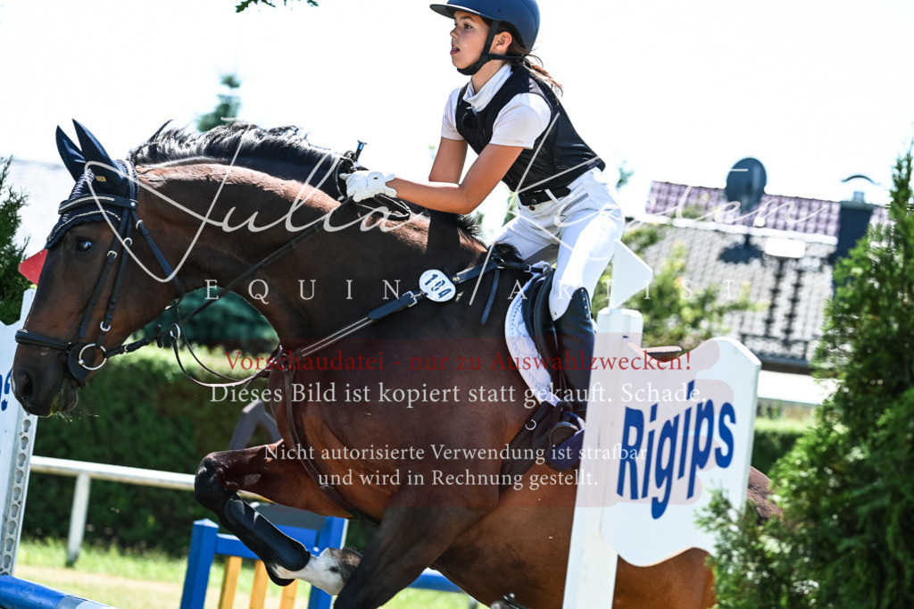 DSC_0533 | Pferde- und Turnierfotografie in Westsachsen. Pferdeportraits, Auftragszeichnungen und intuitive Kunst.