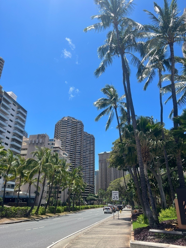 IMG_7805 | ace - Realisiert mit Pictrs.com