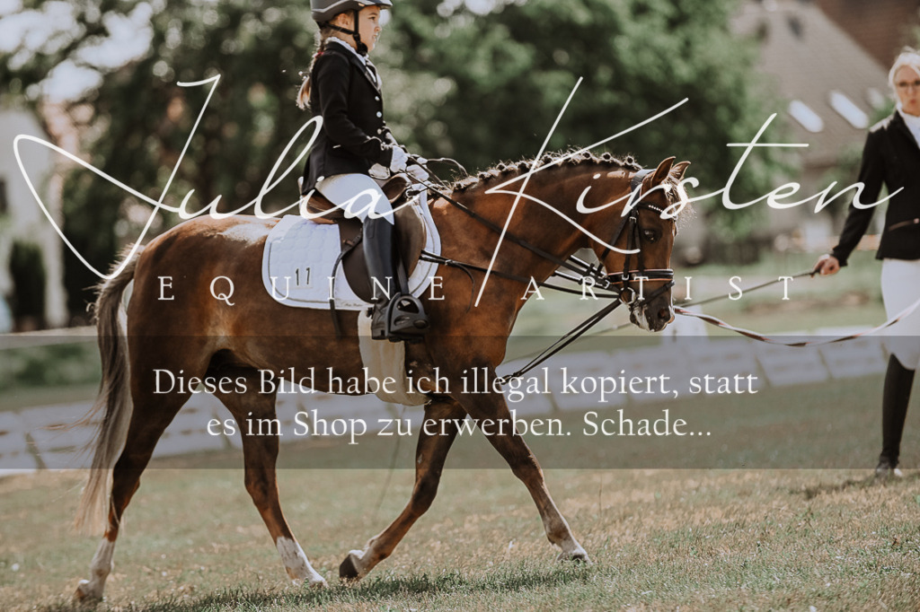 DSC_7620 | Pferde- und Turnierfotografie in Westsachsen. Pferdeportraits, Auftragszeichnungen und intuitive Kunst.
