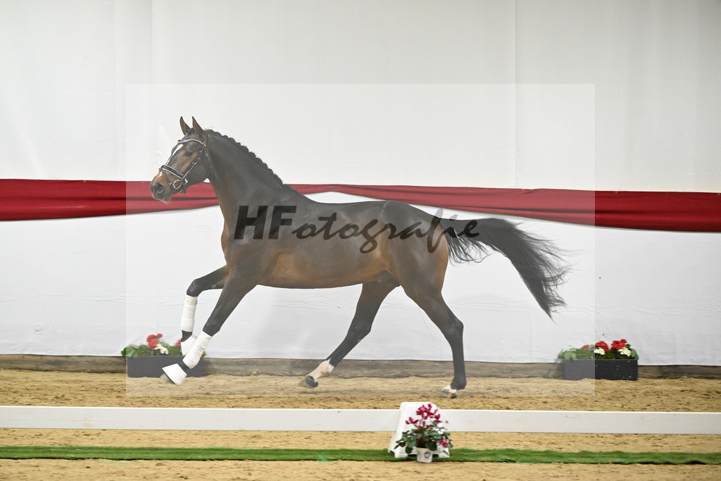 Kat-Nr. 22 v. So Unique_Haack_63221427 | hf-fotografie - Realizzato con Pictrs.com