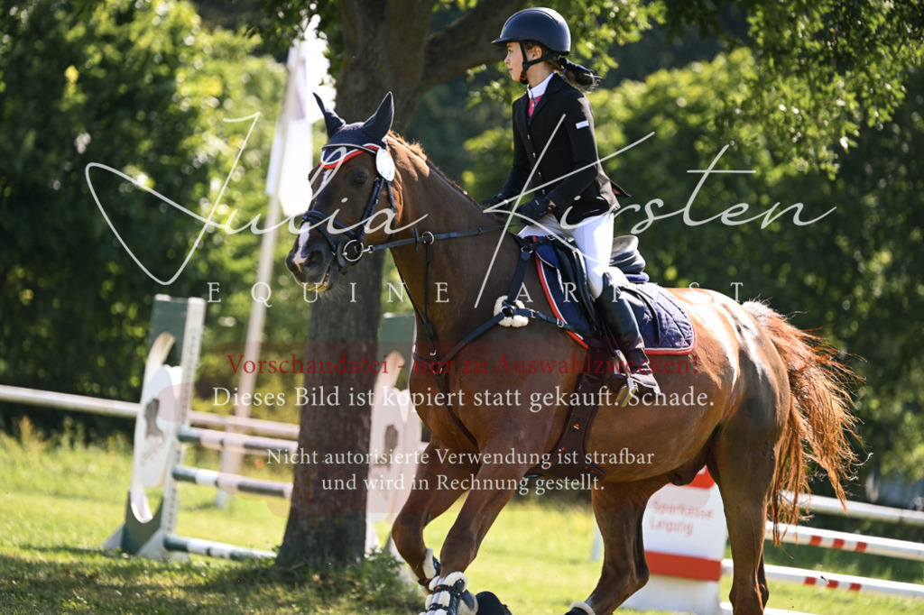 DSC_8743 | Pferde- und Turnierfotografie in Westsachsen. Pferdeportraits, Auftragszeichnungen und intuitive Kunst.