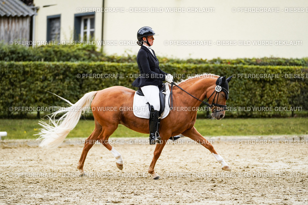 DSC08601 | Pferdegrafie