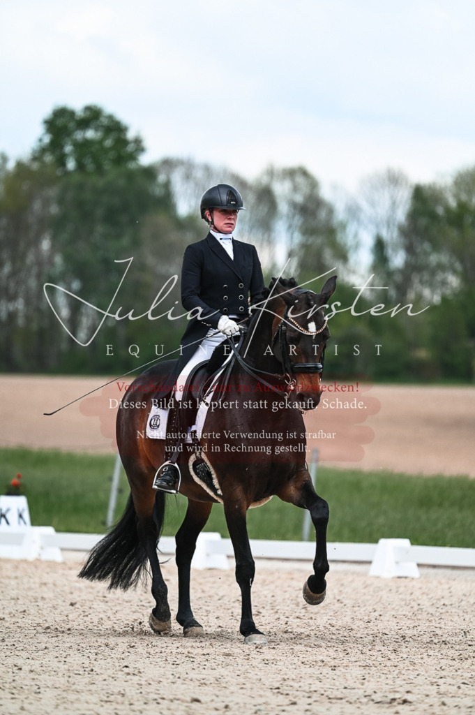 20230514_JK-Röhrsdorf-21-108 | Pferde- und Turnierfotografie in Westsachsen. Pferdeportraits, Auftragszeichnungen und intuitive Kunst.