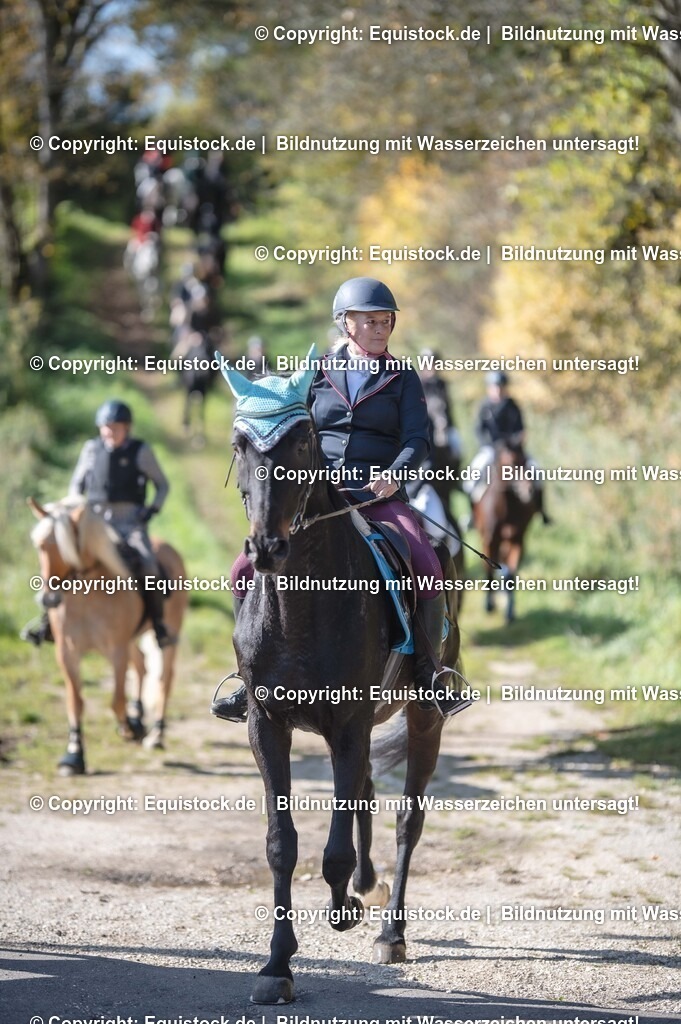 20251011_Jagd-Marbach_0473 | Foto: Thomas Hartig