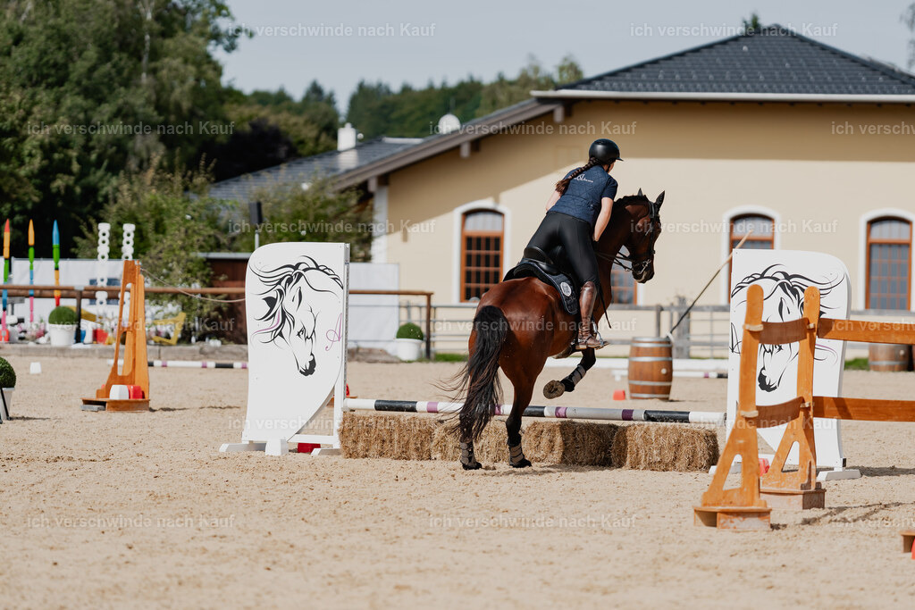 Nadine22_FHC2025-141 | working equitationturnier fotograf videograf stoibphotography marixx film working equitation deutschland reitsport turnierfotografie eventfotografie equestrian events