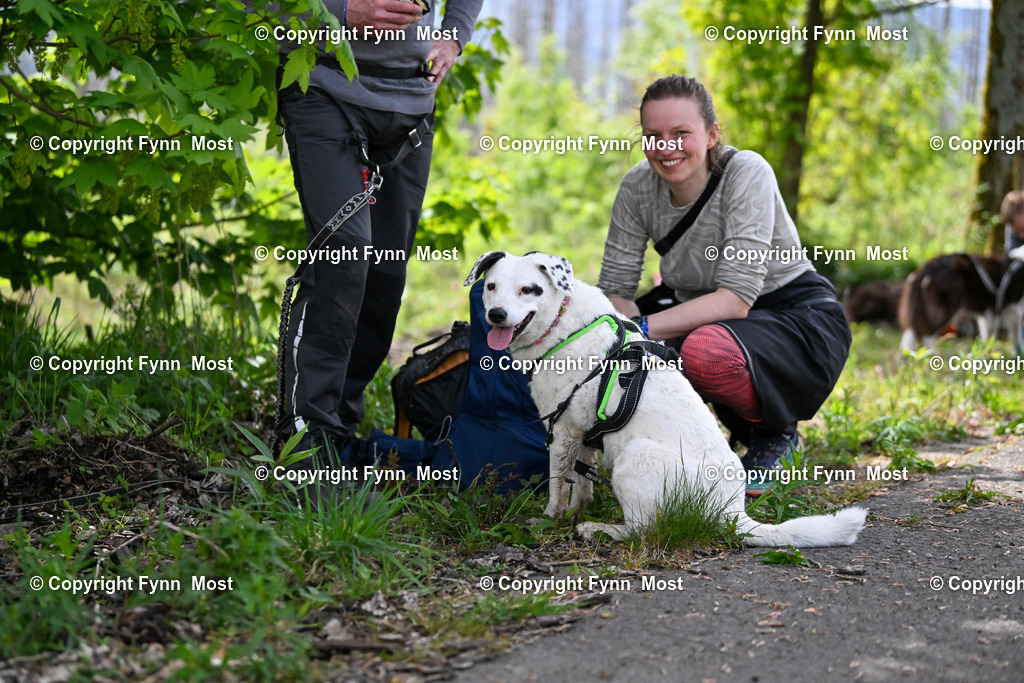 DSC_5132 | Hallo und herzlich Willkommen auf meiner Shop-Seite Fynn Most.

Ich wünsche Dir viel Spaß beim stöbern durch die Bilder, wenn Du Fragen hast oder Bilder vermisst, kannst du mir gerne eine Nachricht schreiben. - Realisiert mit Pictrs.com