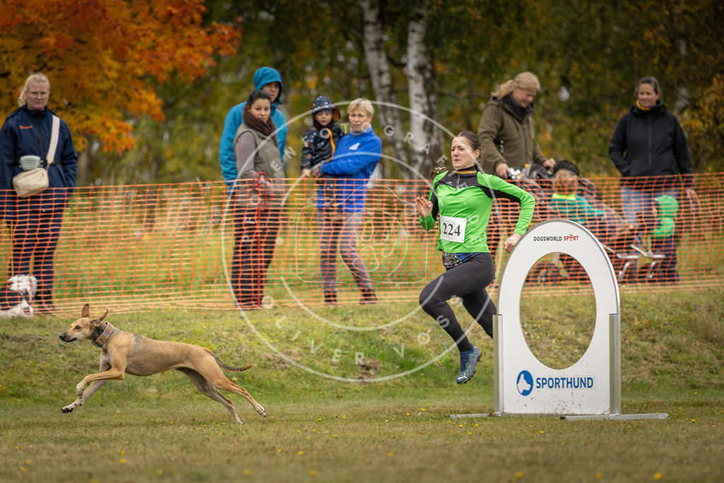 Pfotenfotografie_DV3A4583 | Hundefotografie, Tierfotograf, Pfotenfotografie, Fotoshooting Hund, Hunde Portrait, Hundesport, Hundeportraits, Heideshooting, Hunde, Sportfotograf, Hundefotograf, Turnierhundsport, THS,  - Realisiert mit Pictrs.com