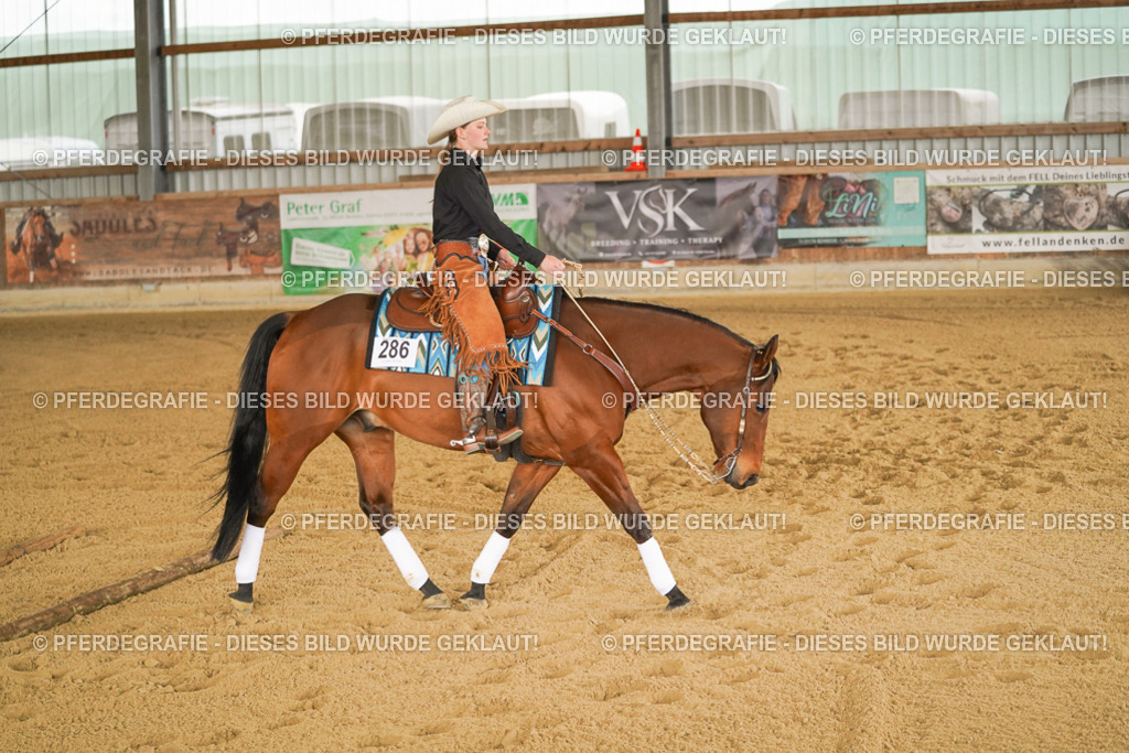 DSC04495 | Pferdegrafie