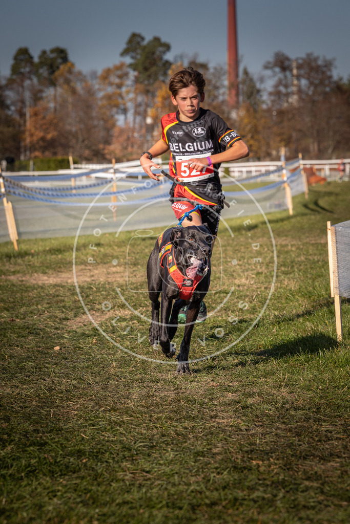 CaniXpix_0L8A7250 | Hundefotografie, Tierfotograf, Pfotenfotografie, Fotoshooting Hund, Hunde Portrait, Hundesport, Hundeportraits, Heideshooting, Hunde, Sportfotograf, Hundefotograf, Turnierhundsport, THS,  - Realisiert mit Pictrs.com