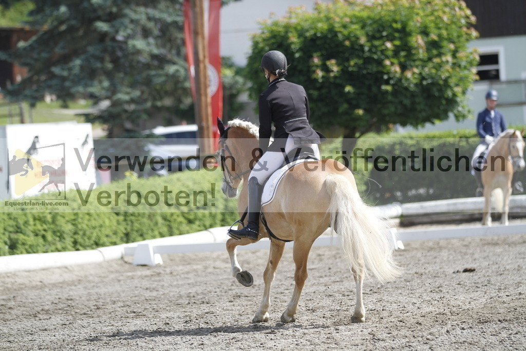 _MG_9874 | equestrian-live-com