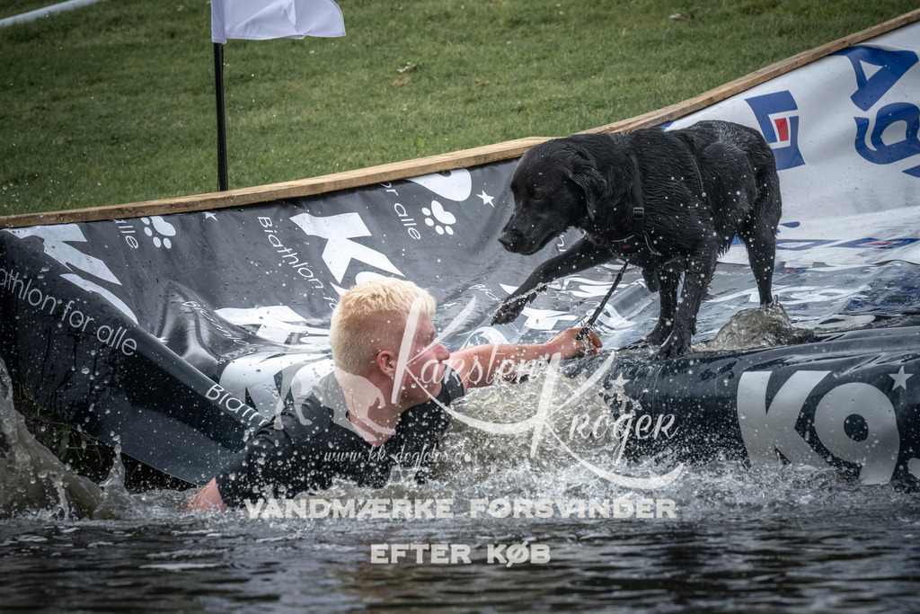 1601_ZZ97454 | kk-dogfotos