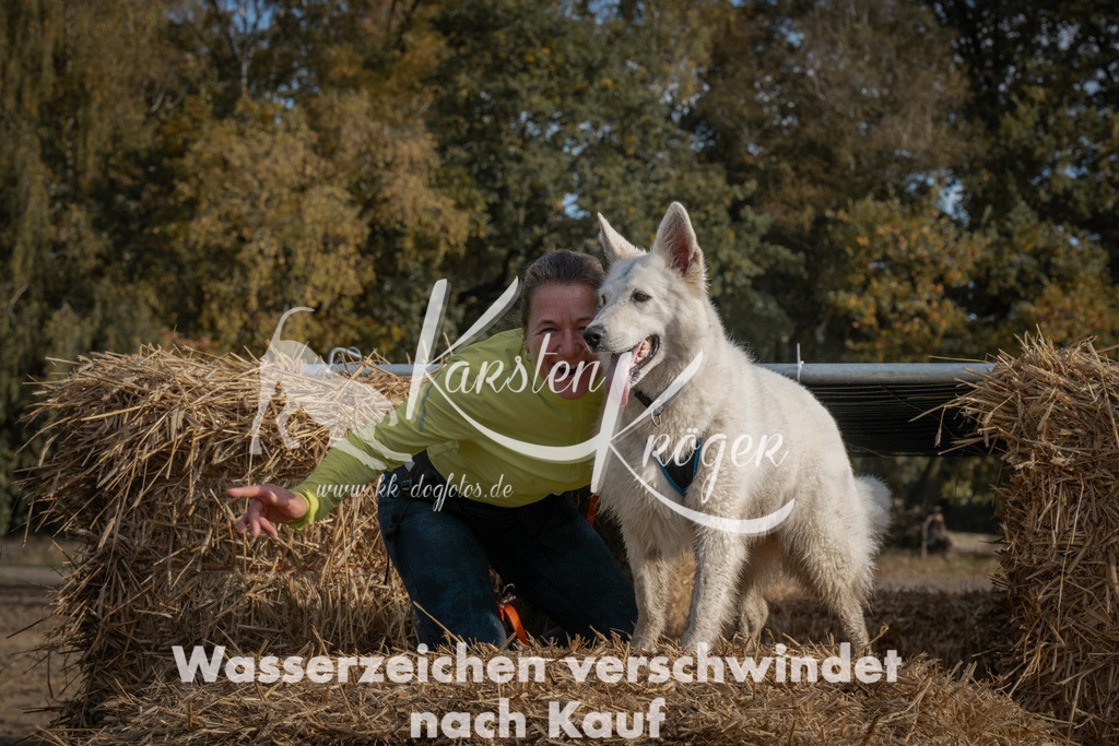 1032_ZZ98739 | kk-dogfotos