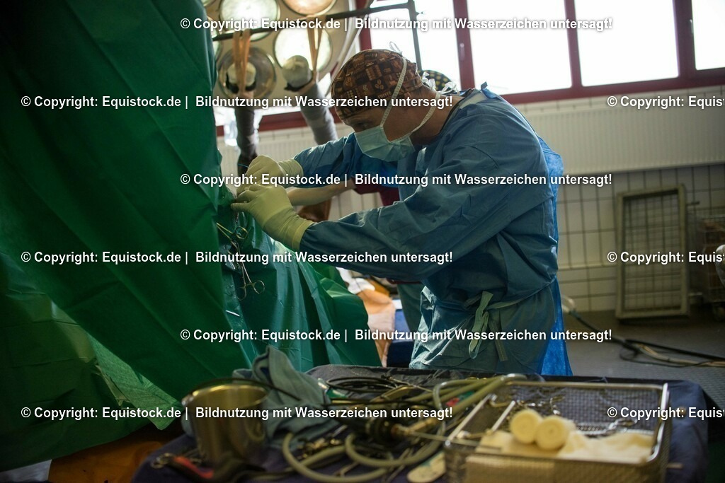 20160315_Arthroskopie_0059 | equistock