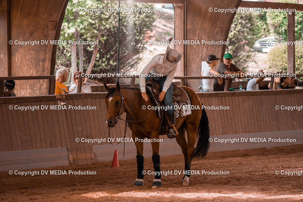 NE300719 | dv-media-shop - Realisiert mit Pictrs.com