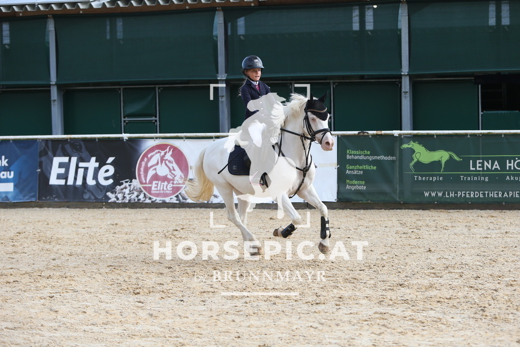 DL2Q5186 | Willkommen bei Brunnmayr - Design & Fotografie – Ihrem Spezialisten für Reitturniere und Pferdeveranstaltungen in Oberösterreich, Salzburg und Bayern! Seit über 17 Jahren sind wir leidenschaftlich dabei.