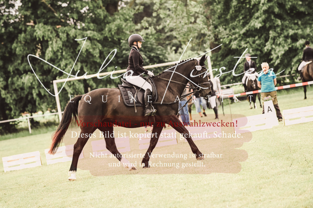 DSC_4898 | Pferde- und Turnierfotografie in Westsachsen. Pferdeportraits, Auftragszeichnungen und intuitive Kunst.
