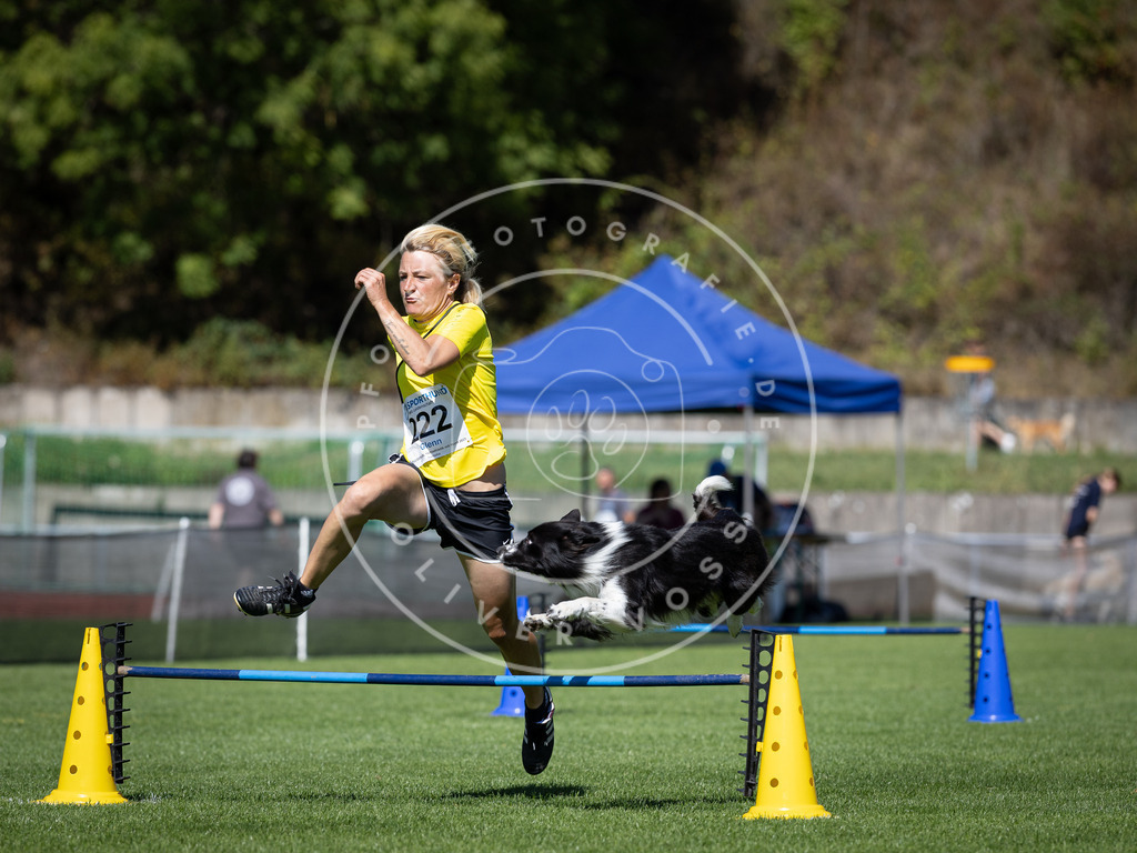 Pfotenfotografie_DV3A5465 | Hundefotografie, Tierfotograf, Pfotenfotografie, Fotoshooting Hund, Hunde Portrait, Hundesport, Hundeportraits, Heideshooting, Hunde, Sportfotograf, Hundefotograf, Turnierhundsport, THS,  - Realisiert mit Pictrs.com