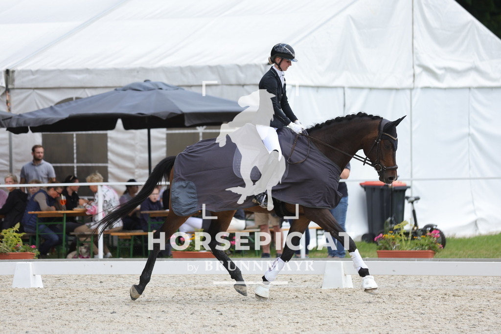 0P6A0135 | Willkommen bei Brunnmayr - Design & Fotografie – Ihrem Spezialisten für Reitturniere und Pferdeveranstaltungen in Oberösterreich, Salzburg und Bayern! Seit über 17 Jahren sind wir leidenschaftlich dabei.