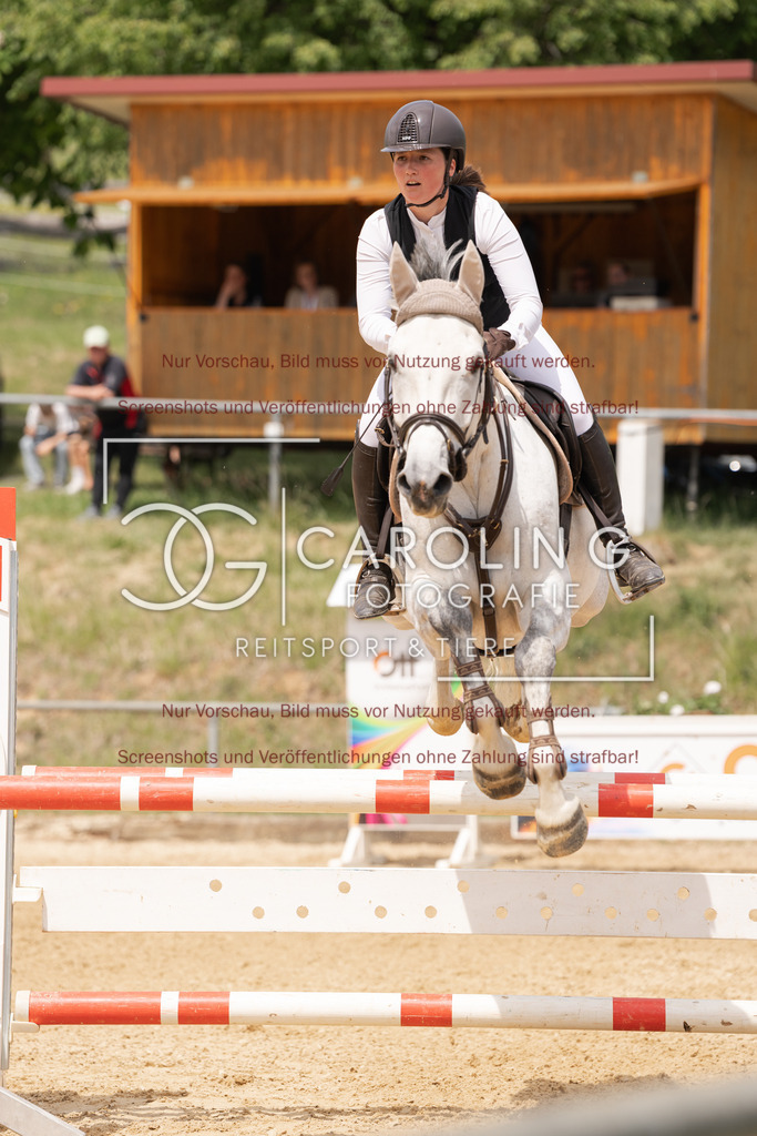 DSC06687 | Springturnier_Ehingen_Mai_2026, Melissa_Ramminger, Lemook