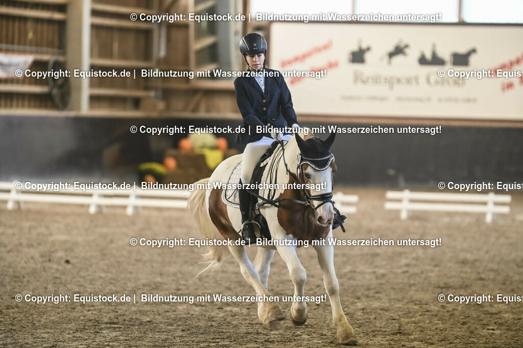 03_Reiter-WB_0232 | Foto: Thomas Hartig