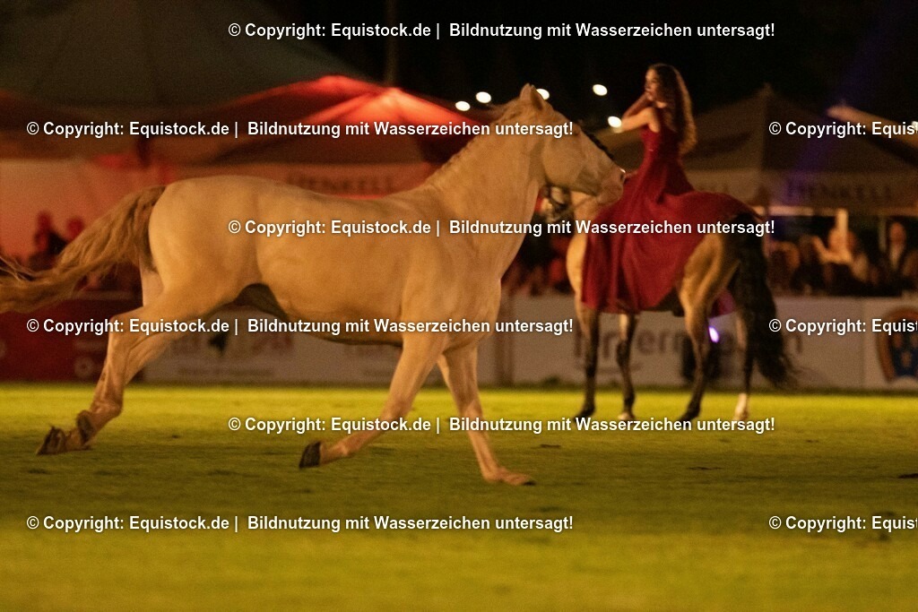 20230526_Pferdenacht_1495 | equistock