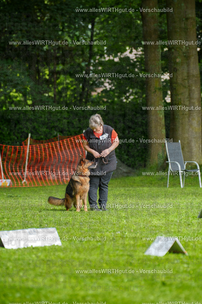 @allesWIRTHgut_Tierfotografie - www.allesWIRTHgut.de - 7R502393 | Professionelle Tierfotografie in Mönchengladbach von Daniel Wirth (allesWIRTHgut). Liebevolle & natürliche Bilder von Hunden & Katzen für unvergessliche Erinnerungen.