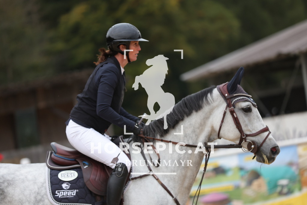 0P6A4689 | Willkommen bei Brunnmayr - Design & Fotografie – Ihrem Spezialisten für Reitturniere und Pferdeveranstaltungen in Oberösterreich, Salzburg und Bayern! Seit über 17 Jahren sind wir leidenschaftlich dabei.