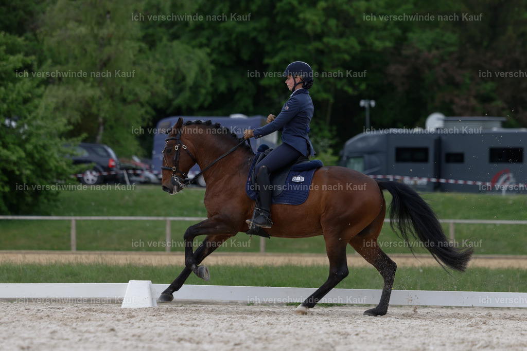 PI26_DR_259_Stoibphotography_AM10854.jpg | working equitationturnier fotograf videograf stoibphotography marixx film working equitation deutschland reitsport turnierfotografie eventfotografie equestrian events
