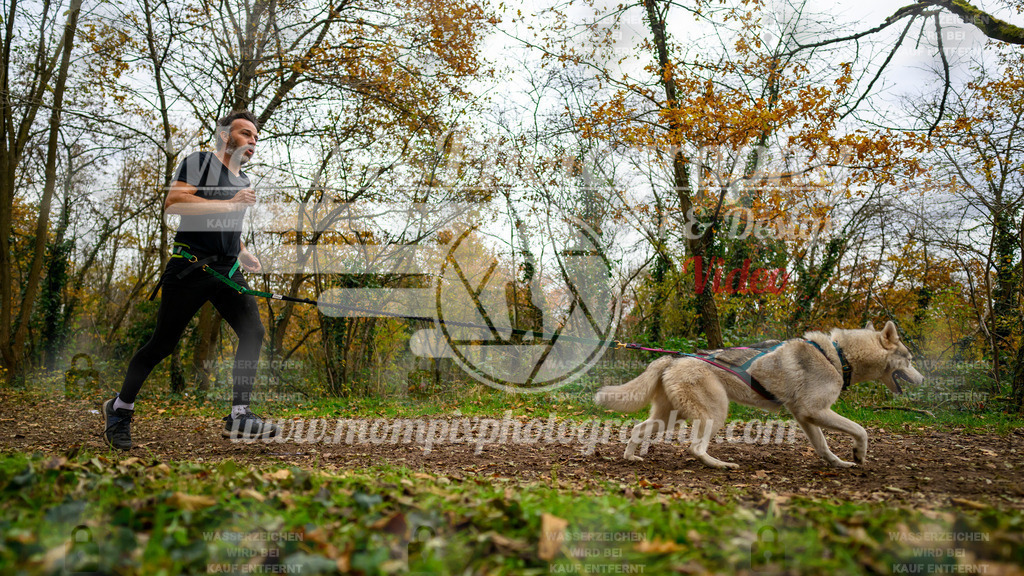 MompixPhotography_Bischwiller24_DI_CoursedeRelais-87 | PayLife