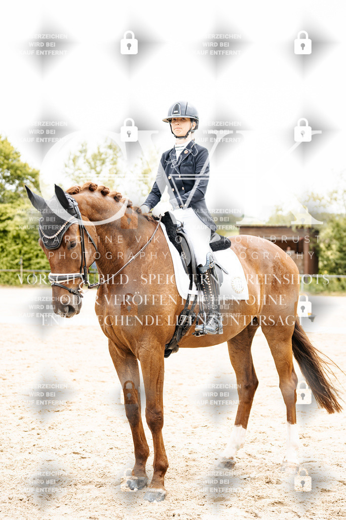 CK703663 | Turnierfotografie Pferdefotografie Trier Rheinland-Pfalz Pferdesport Reitsport Tierfotografie Sportfotografie Pferdevideo Pferdevideografie Equestrianvideography equestrianphotography  - Realisiert mit Pictrs.com