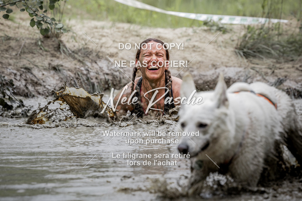 nelerasche_so1330-1400_466 | nelerasche