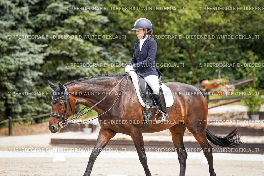 DSC05642 | Pferdegrafie