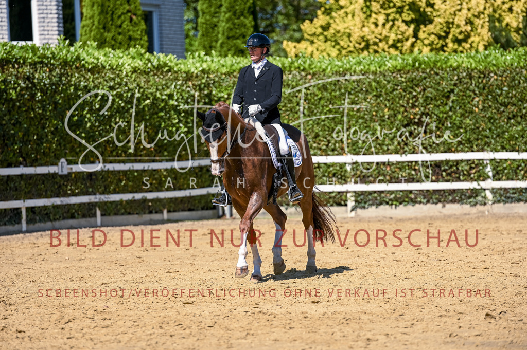 Schugtsche-Aluta25-50.Dressurpferdeprf.L-3 | Schugtsche Fotografie - Realisiert mit Pictrs.com