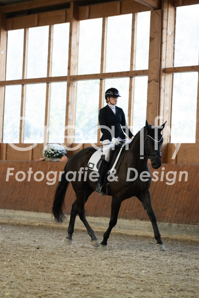 IMG_5578 | Creatify Fotografie