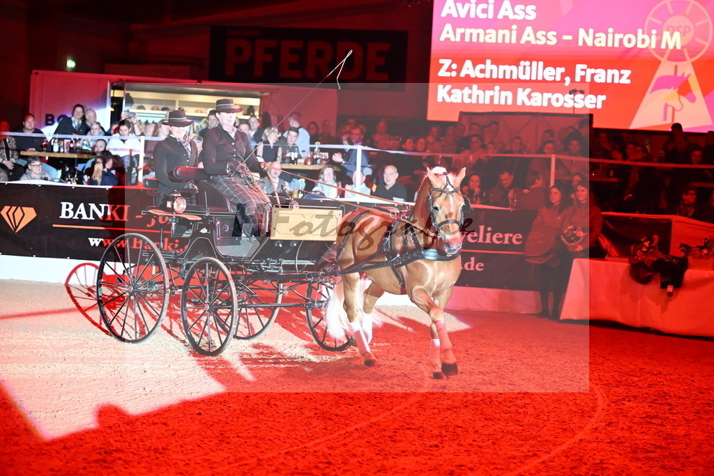 DSP_Avici_As_Karosser_2254537 | hf-fotografie - Realisiert mit Pictrs.com
