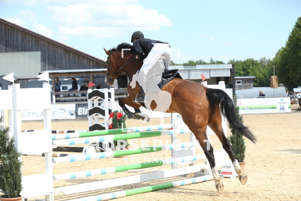 DL2Q6439 | Willkommen bei Brunnmayr - Design & Fotografie – Ihrem Spezialisten für Reitturniere und Pferdeveranstaltungen in Oberösterreich, Salzburg und Bayern! Seit über 17 Jahren sind wir leidenschaftlich dabei.