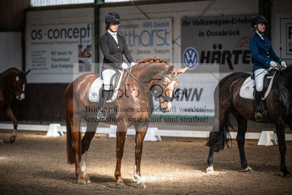 DOS_0321 | Entdecke hochwertige Reitturnierfotos von Foto Oger. Professionell, emotional und authentisch – jetzt Lieblingsmomente im Shop bestellen.Deutschlandweite Turnierfotografie. - Realisiert mit Pictrs.com
