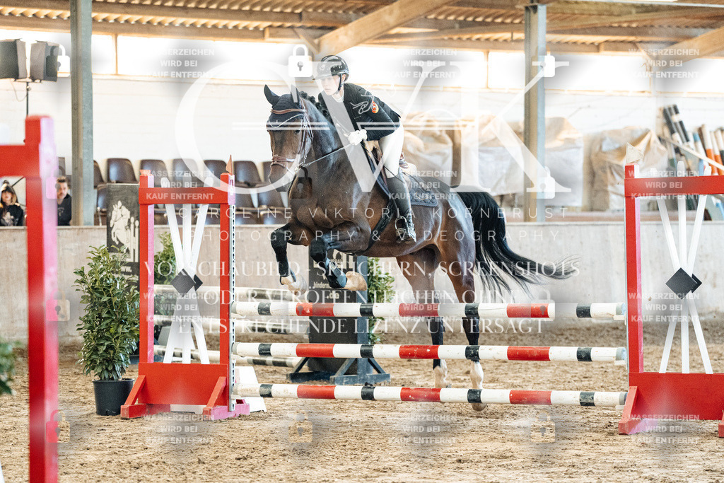 CK904570 | Turnierfotografie Pferdefotografie Trier Rheinland-Pfalz Pferdesport Reitsport Tierfotografie Sportfotografie Pferdevideo Pferdevideografie Equestrianvideography equestrianphotography  - Realized with Pictrs.com