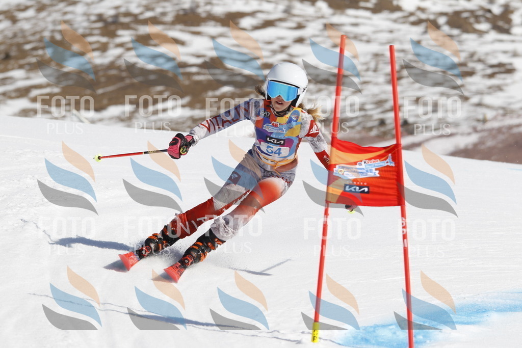 _U3G9461 | holidayphoto