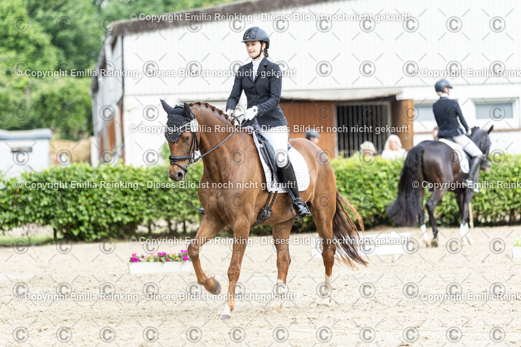 CL5A5846 | Emilia Reinking Fotografie - Realisiert mit Pictrs.com