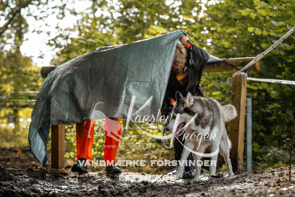 1456DZ6_4001Z6 | kk-dogfotos