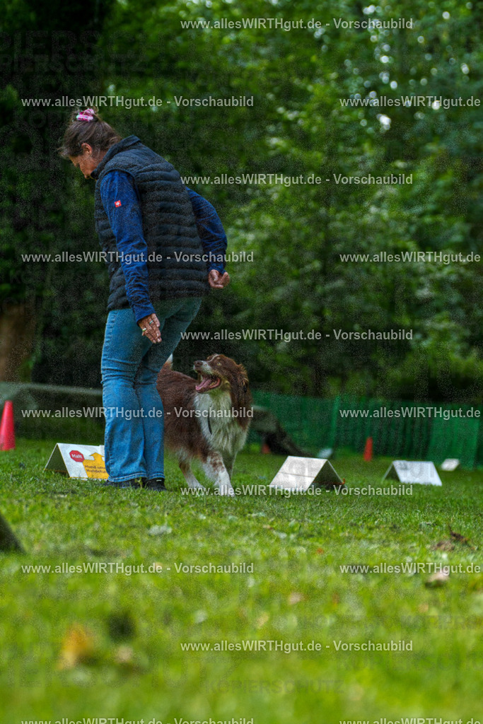 @allesWIRTHgut_Tierfotografie - www.allesWIRTHgut.de - 7R505450 | Professionelle Tierfotografie in Mönchengladbach von Daniel Wirth (allesWIRTHgut). Liebevolle & natürliche Bilder von Hunden & Katzen für unvergessliche Erinnerungen.