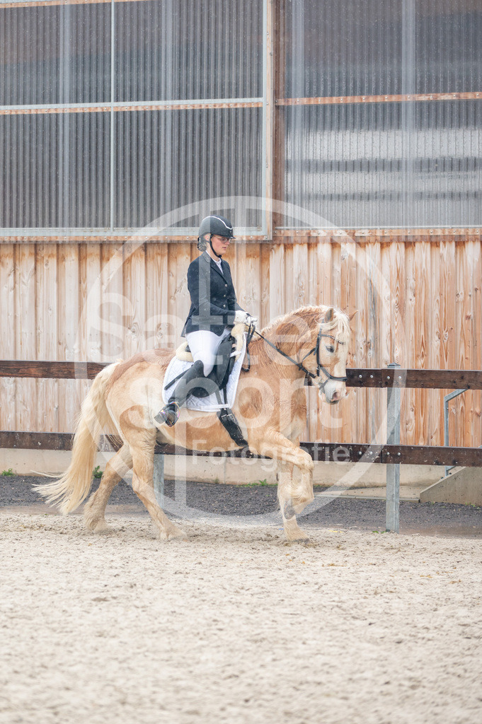 DSC_7271 | sattelsport - Realisiert mit Pictrs.com